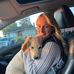 Haley Law - Facebook
