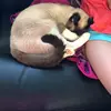 maghaleyroseleduc - @maghaleyroseleduc - TikTok