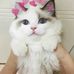 Hailey Lindquist - Facebook
