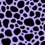 AdxlingHaley - @adxlinghaley - TikTok