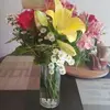Haley Little - @haley.little3 - TikTok