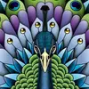 Hayley Livermore - @31031082420 - TikTok