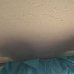 haley logan - @haleylogann - Instagram