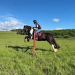 Haley Meikle - @haleylorenmeikleequestrian - Instagram