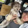 haleylorenzooo - @haleylorenzooo - TikTok