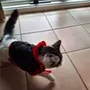 Hayley Lorenz - @hayley.lorenz0 - TikTok