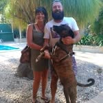 Haley, Luke & Walter 🤸‍♂️💃🐶 - @hippies_in_transit - Instagram