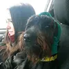 Haley + Luna - @haley_and_luna - TikTok