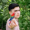 HaleyLuna - @haleylunanjeikf - TikTok
