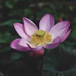 Haley Macklin - @thequietexistence - Instagram