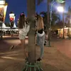 haley and macy - @haleymacy123 - TikTok
