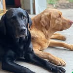Haley, Macy & Bailey - @sassycouchpotatoesisters - Instagram