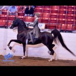 Haley Madsen - @haley_madsen_ - Instagram