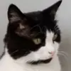 Haley Mai549 - @haleymai549 - TikTok