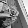 💋haley💋 - @haley.main62 - TikTok