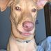 Haley Maine - Facebook