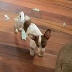 Haley Mathews - Facebook