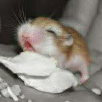 Haley Mays - @broz_forevez - Instagram