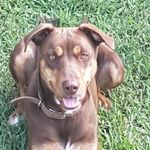 haley McMahon - @haley_priv_acc - Instagram
