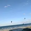 Haley McMahon - @haley.mcmahon6 - TikTok