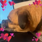 Hailey Meyer - Facebook