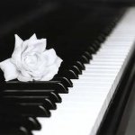 Haley Milne - @haleymilnemusic - Instagram