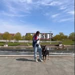 Haley Miner - @sitpretty_dogtraining - Instagram
