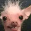✨🌝hey🌝✨ - @miranda.haley0 - TikTok