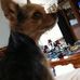 Hailey Nadeau - Facebook