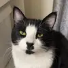 haleynagy0 - @haleynagy0 - TikTok