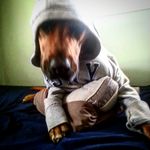 Haley Newby - @snoopturntle - Instagram