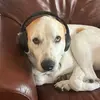 haleynnix - @haleynnix - TikTok