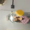 Haley Noelle - @haleynoelle54 - TikTok