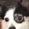 Haley Norris - @haley.norris7 - TikTok