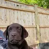haleyobrienn - @haleyobrienn - TikTok