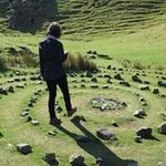 Hailey Ogle - @haileysgreenstep - Instagram