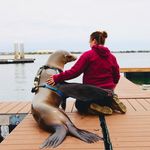 Haley OHara-Quesada - @haley_oq - Instagram