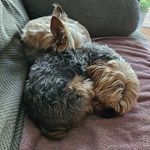 Haley Otto - @haley_otto_beanie - Instagram