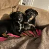 Haley Parrott - @haleyparrott6 - TikTok