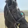 Hayley Partridge - @hayley.partridge3 - TikTok