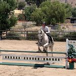 haley - @haley_paulson - Instagram