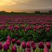 Haley Paulson - Facebook