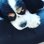 Haley Paz Blasiotti - @blasiottihaleypaz - Instagram