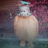 Hailey Pedersen - @haileypedersen11 - TikTok