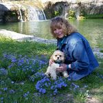 Kathy Pedersen Haley - @kathypedersenhaley - Instagram