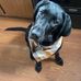Hailey Pence - Facebook