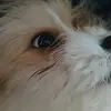 Hailey peralta - @cookiesperalta2022 - TikTok