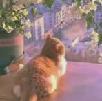Hailey Peralta - Facebook