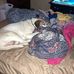 Haley Pettit - Facebook