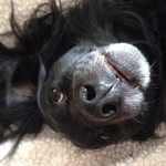 Haley Barnes - @haleyphantom - Instagram